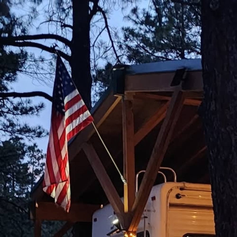 Meet your Posher, Debbie